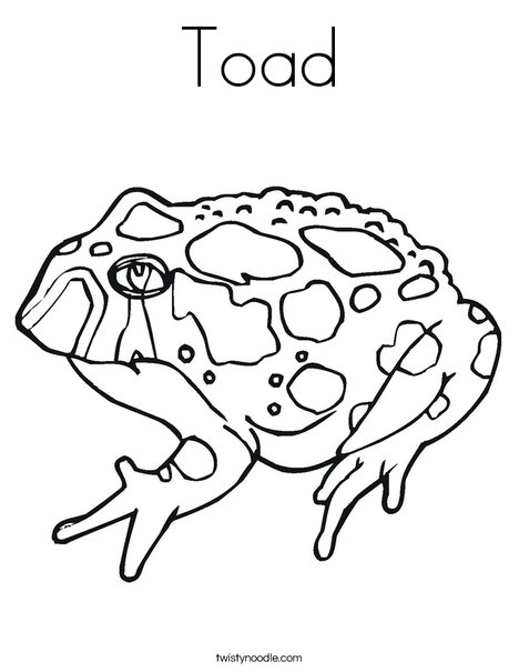Cane Toad coloring #2, Download drawings
