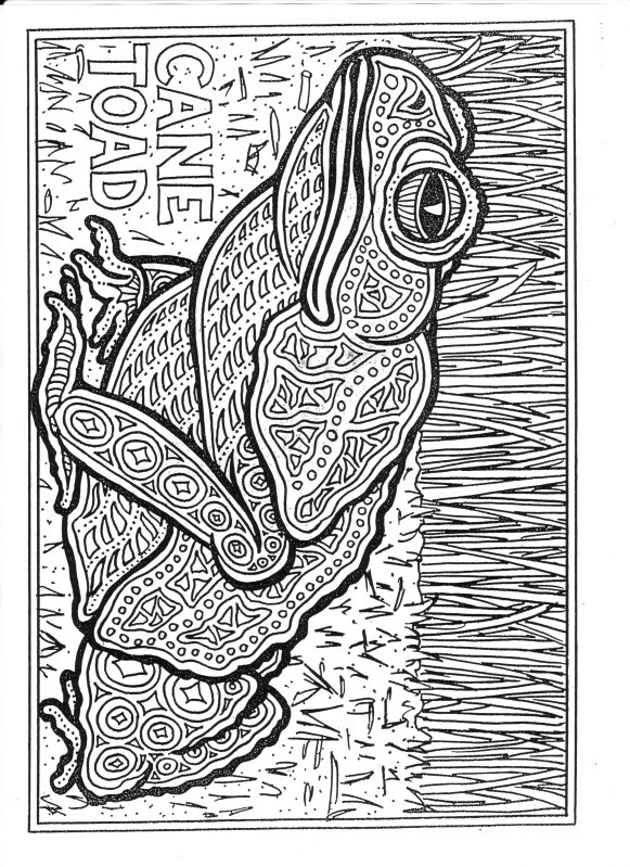 Cane Toad coloring #3, Download drawings