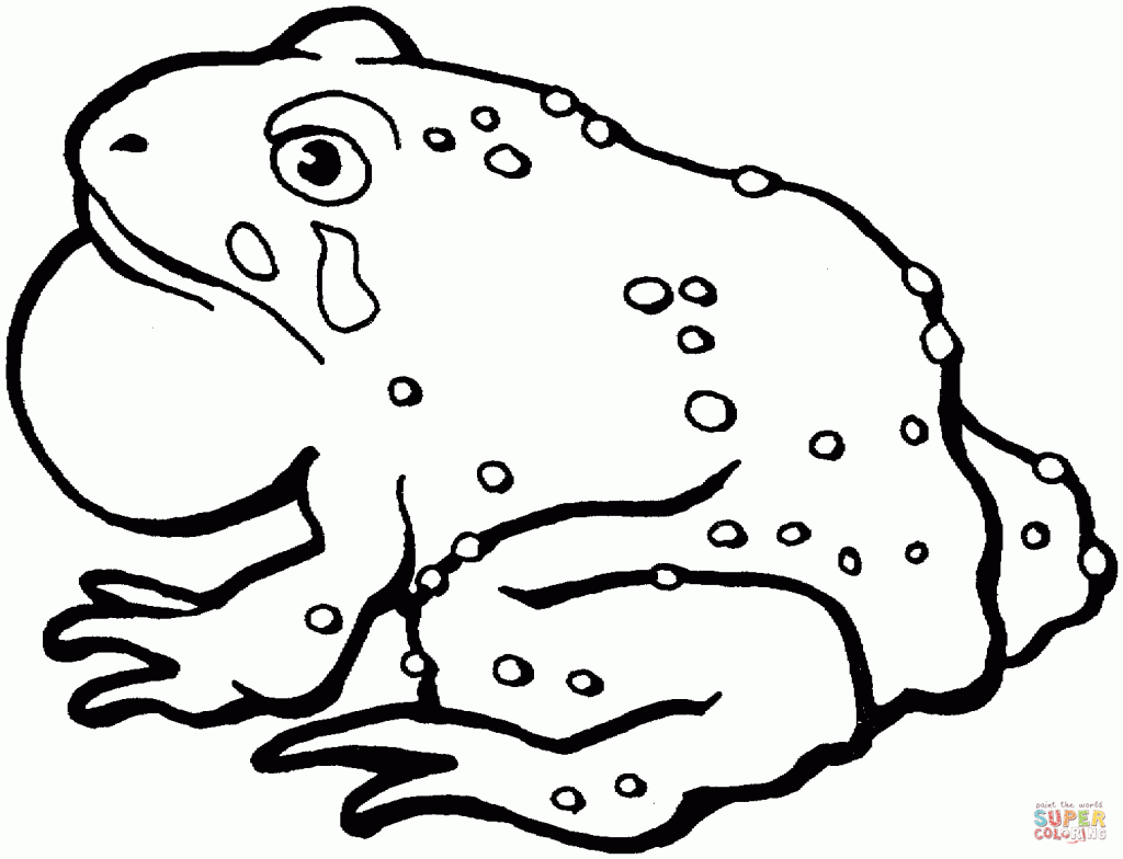 Cane Toad coloring #11, Download drawings