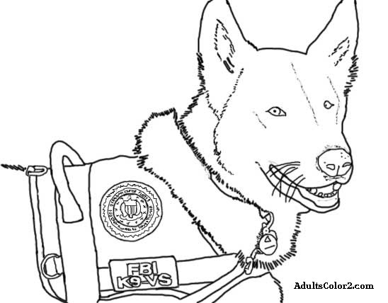 Canine coloring #12, Download drawings