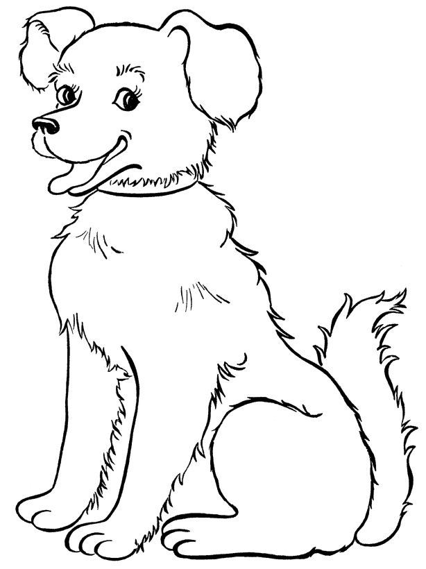 Canine coloring #5, Download drawings