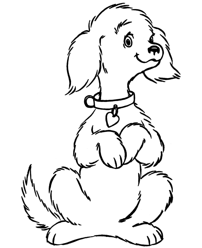 Canine coloring #14, Download drawings