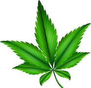 Cannabis clipart #17, Download drawings