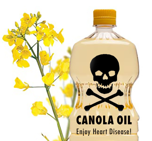 Canola clipart #11, Download drawings