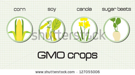 Canola svg #17, Download drawings