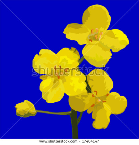 Canola svg #20, Download drawings