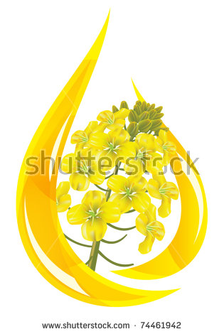 Canola svg #13, Download drawings