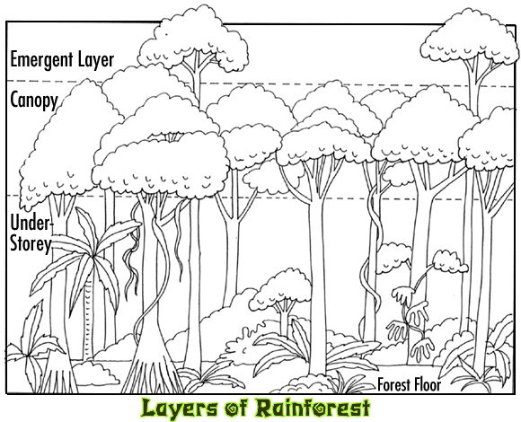 Canopy coloring #3, Download drawings
