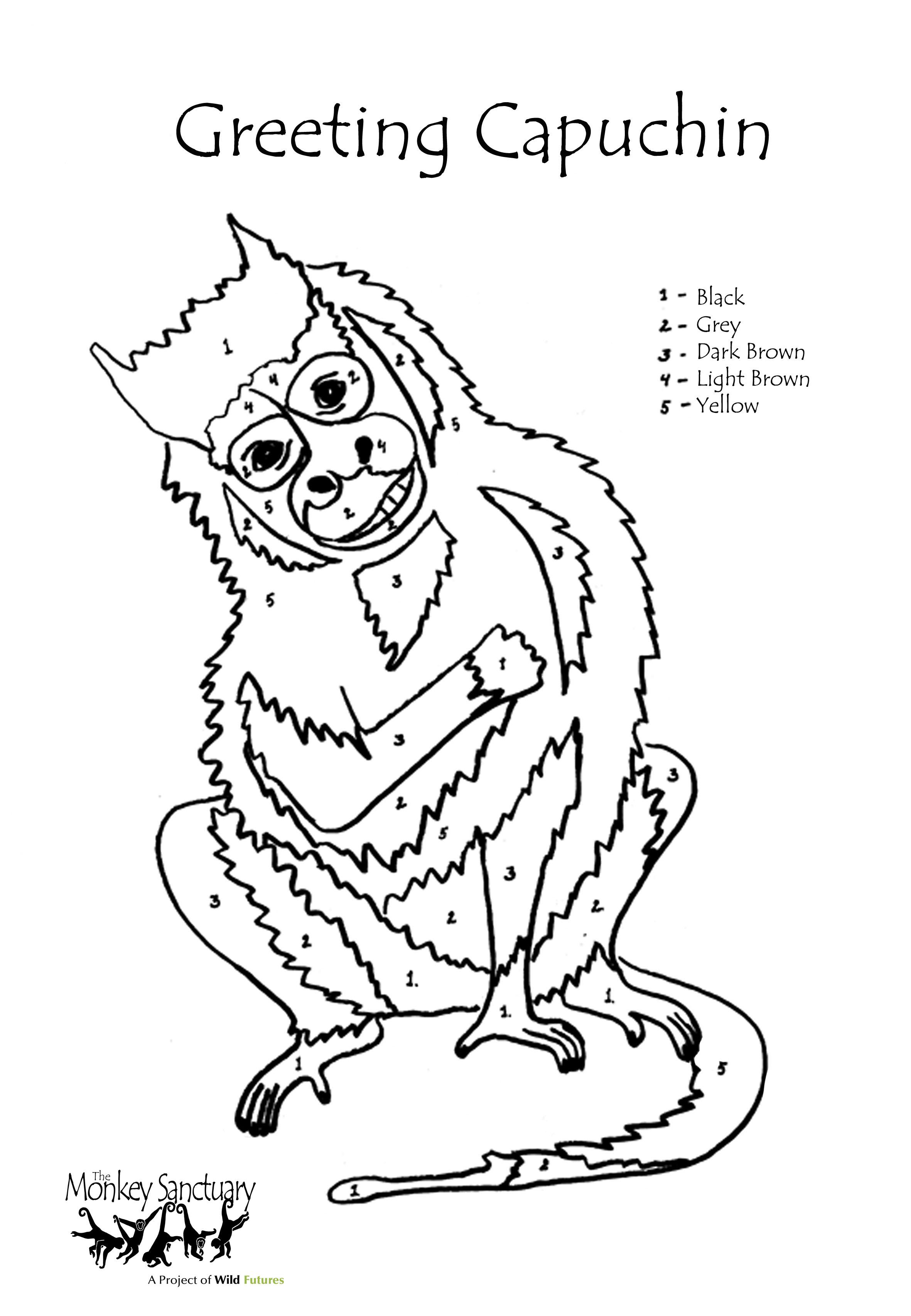 Capuchin coloring #12, Download drawings