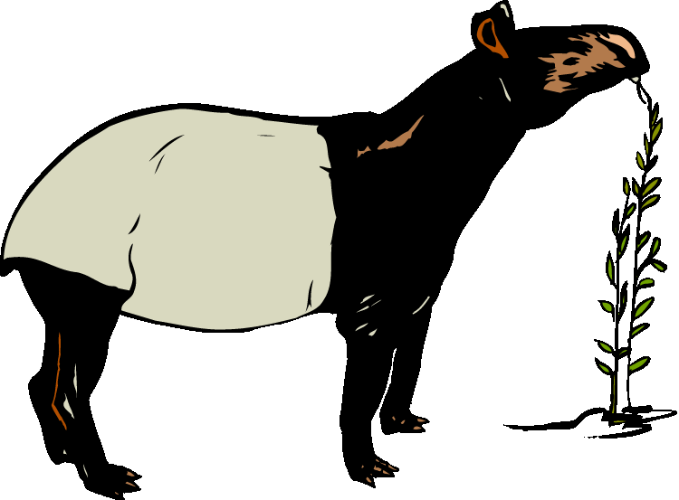 Capybara clipart #2, Download drawings