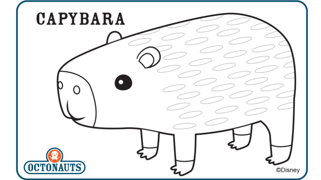 Capybara coloring #1, Download drawings