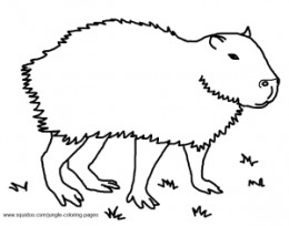 Capybara coloring #4, Download drawings