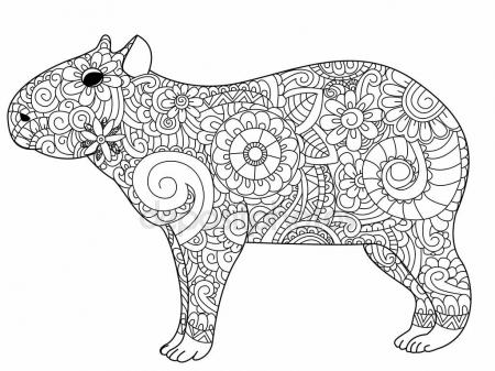 Capybara coloring #3, Download drawings