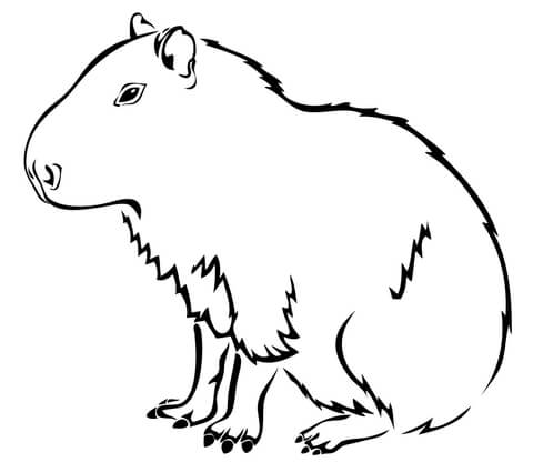 Capybara coloring #10, Download drawings