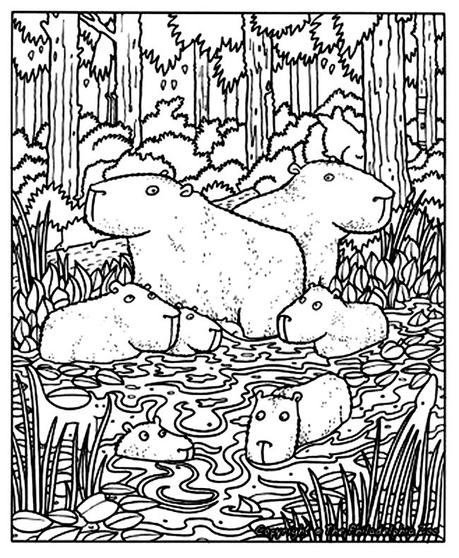 Capybara coloring #12, Download drawings