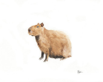 Capybara svg #6, Download drawings