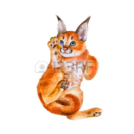 Caracal clipart #16, Download drawings