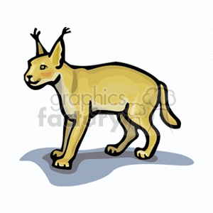 Caracal clipart #18, Download drawings
