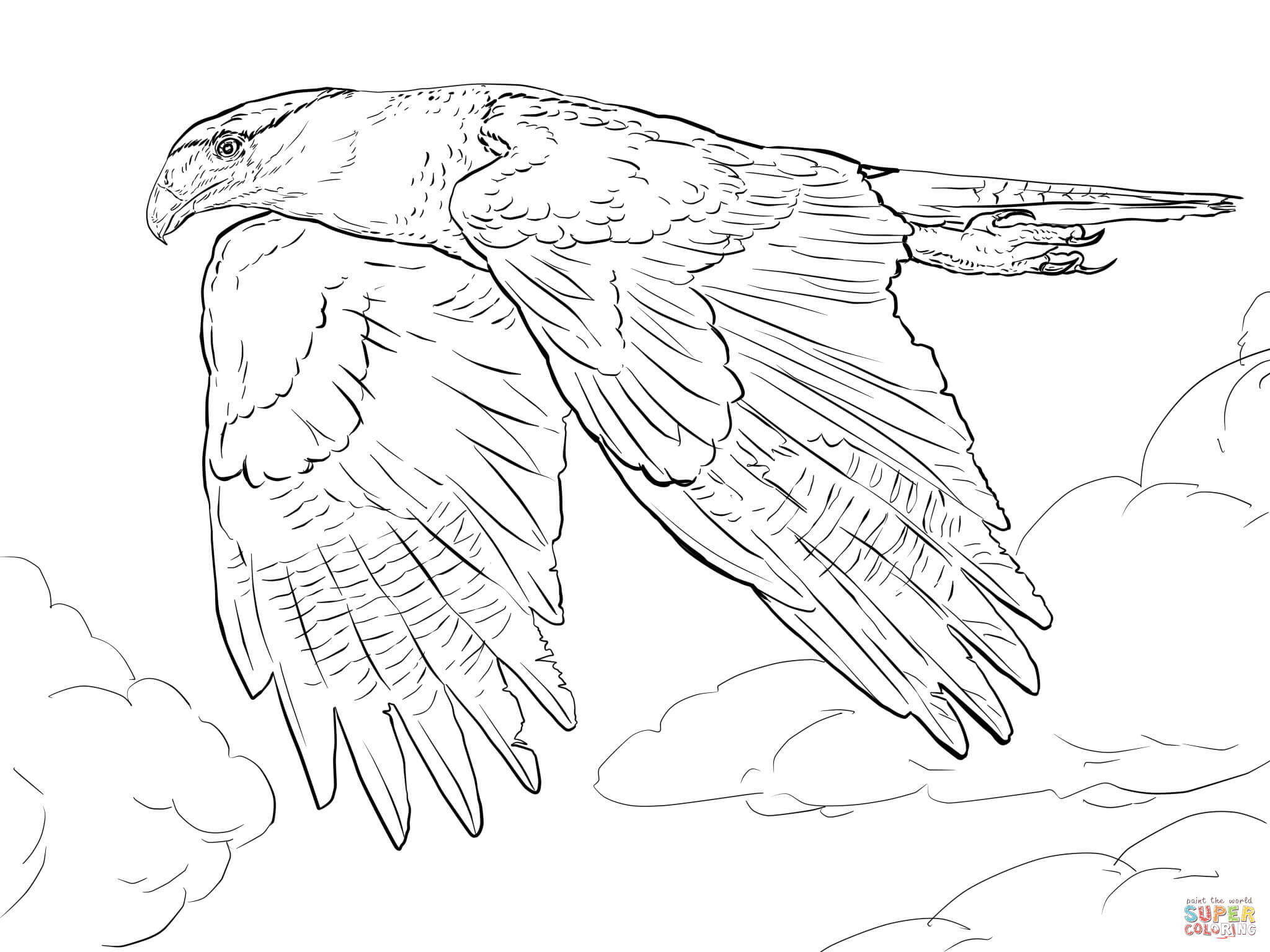 Prairie Falcon coloring #19, Download drawings