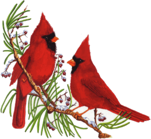 Cardinal clipart #5, Download drawings