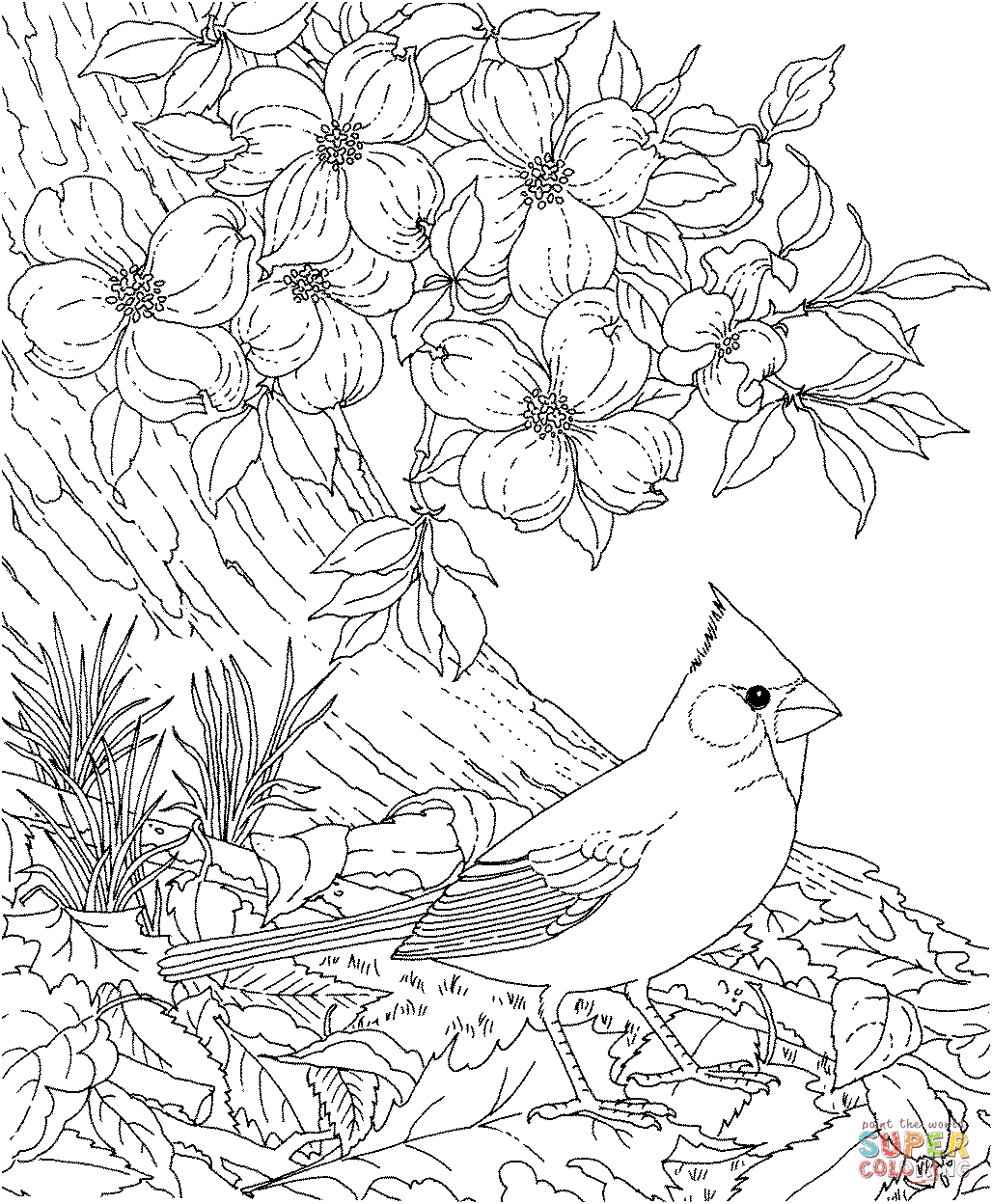 Cherry Blossom coloring #1, Download drawings