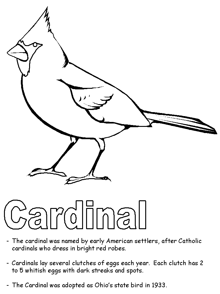 Cardinal coloring #19, Download drawings