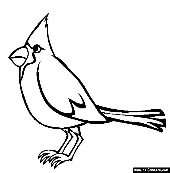 Cardinal coloring #18, Download drawings