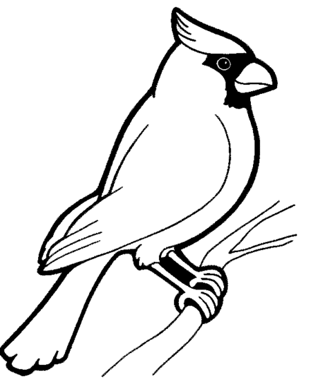 Cardinal coloring #16, Download drawings