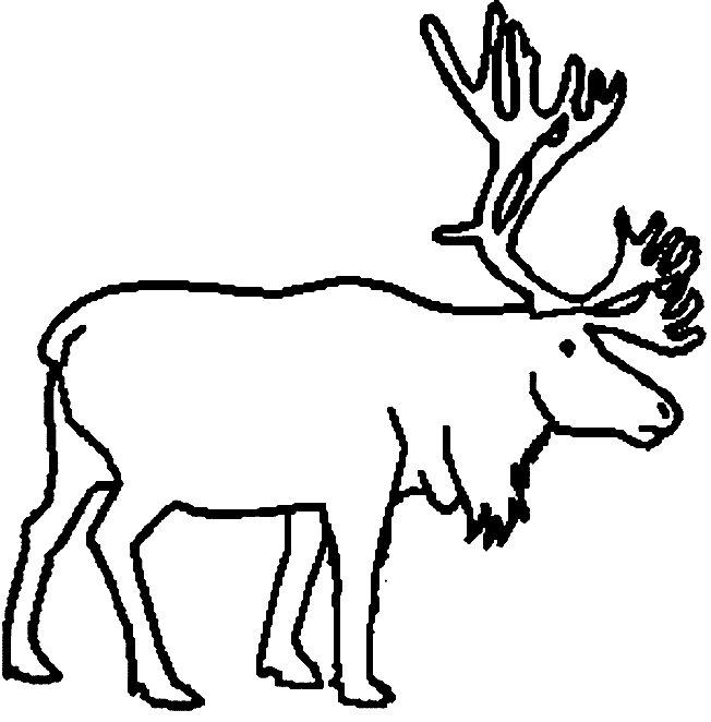 Caribou coloring #5, Download drawings