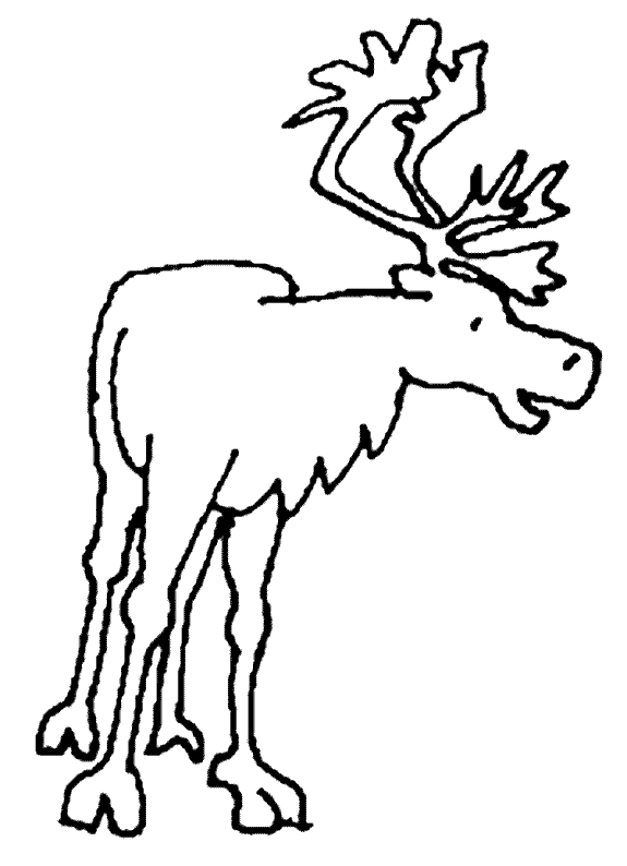 Caribou coloring #16, Download drawings