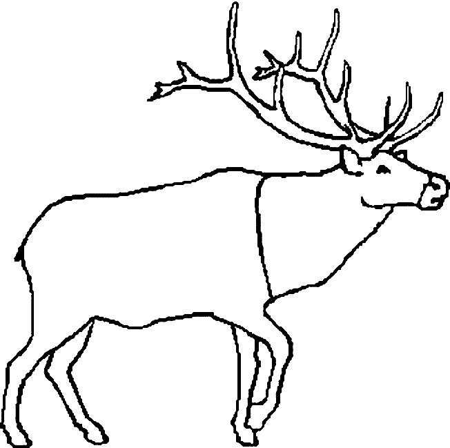 Caribou coloring #19, Download drawings