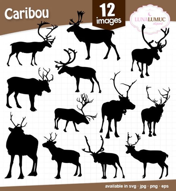 Caribou svg #10, Download drawings