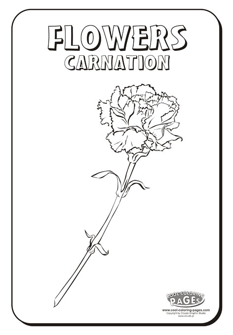Carnation coloring #8, Download drawings