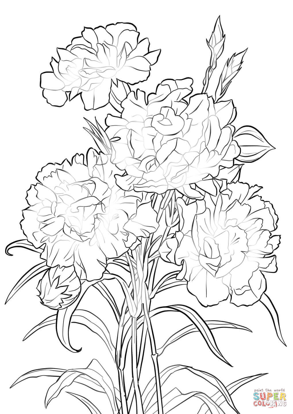Carnation coloring #18, Download drawings
