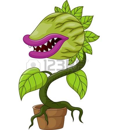 Carnivorous Plant clipart #1, Download drawings