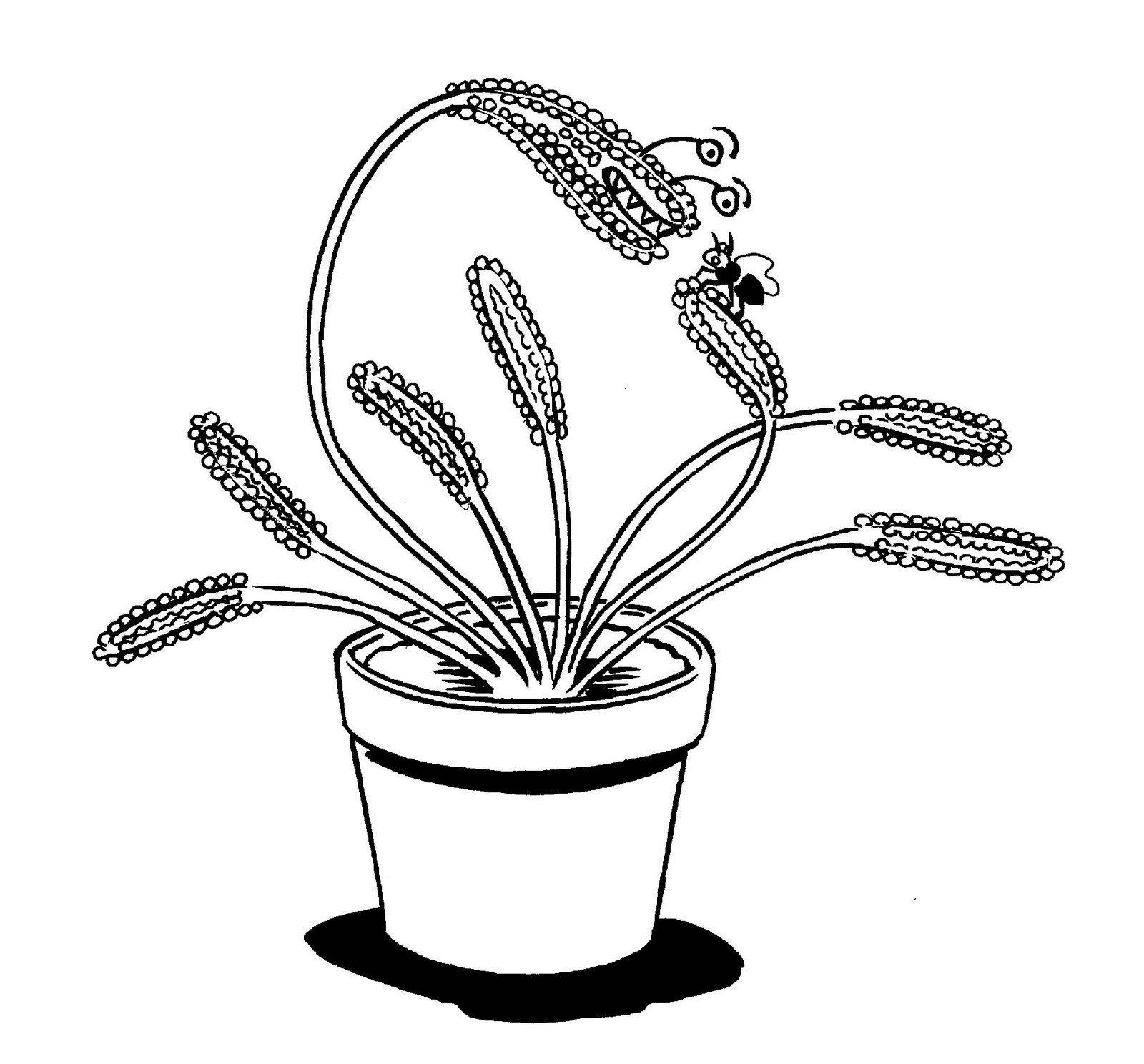 Carnivorous Plant coloring #10, Download drawings