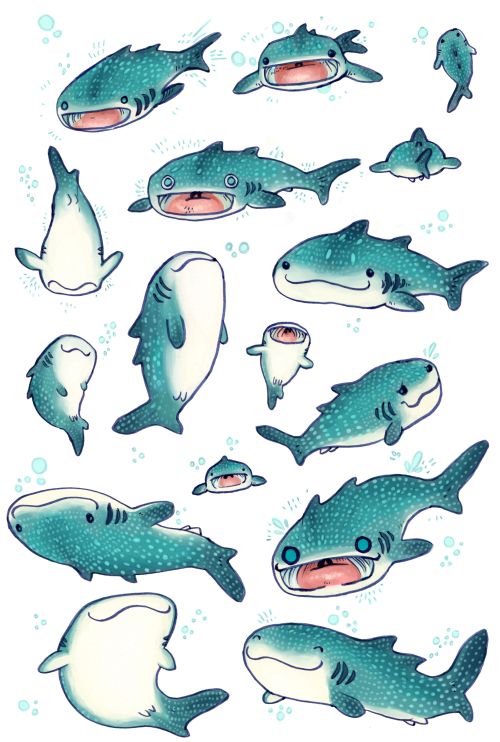 Carpenter Shark clipart #20, Download drawings