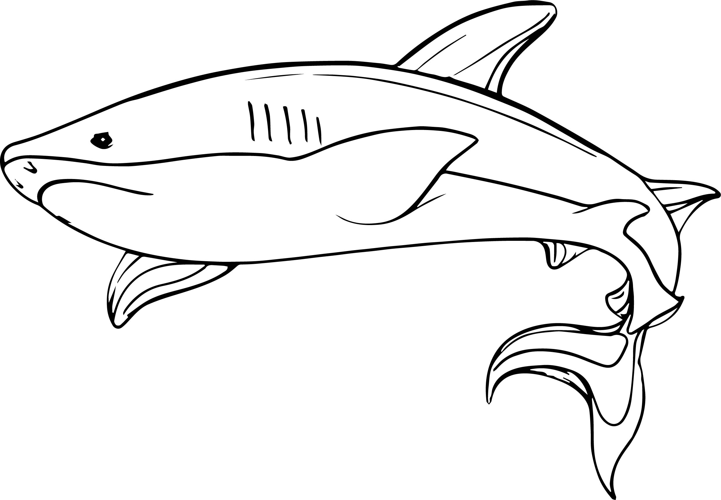 Carpenter Shark coloring #3, Download drawings