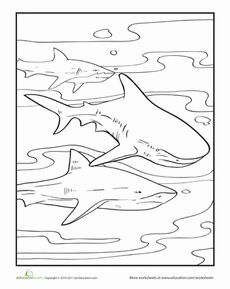 Carpenter Shark coloring #10, Download drawings