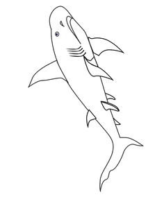 Carpenter Shark coloring #7, Download drawings
