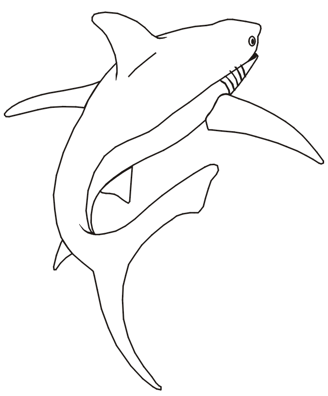 Carpenter Shark coloring #18, Download drawings