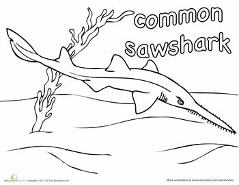 Carpenter Shark coloring #14, Download drawings