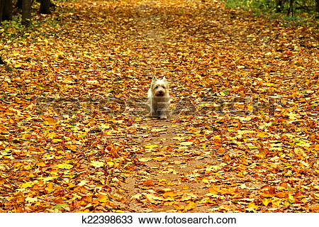 Carpet Of Leaves clipart #20, Download drawings