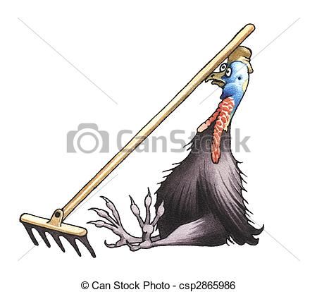 Cassowary clipart #12, Download drawings