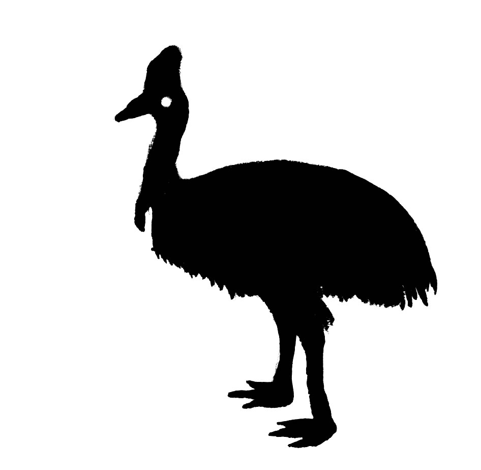 Cassowary clipart #1, Download drawings