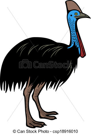 Cassowary clipart #18, Download drawings