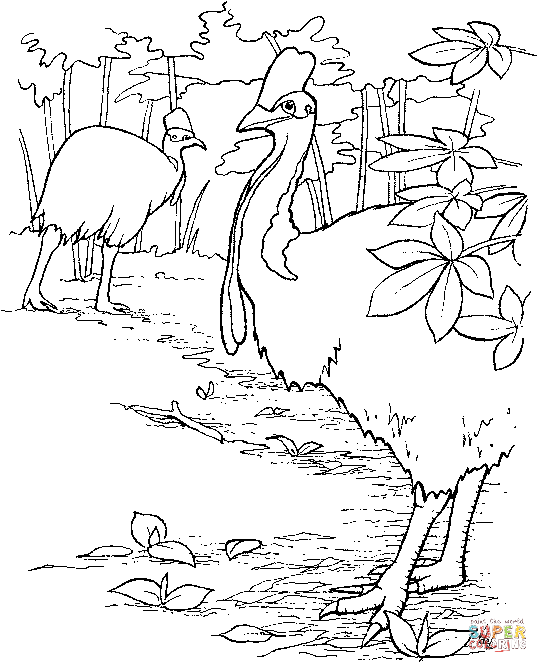 Cassowary coloring #11, Download drawings