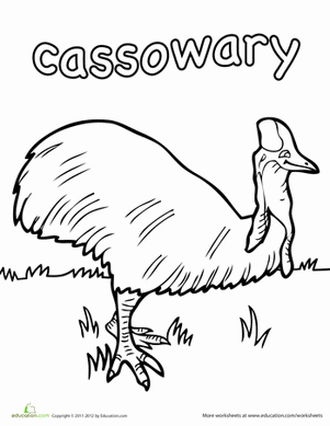 Cassowary coloring #16, Download drawings