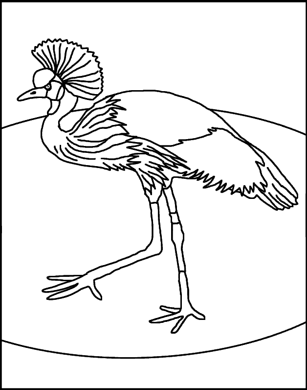 Cassowary coloring #19, Download drawings