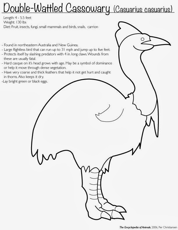 Cassowary coloring #15, Download drawings